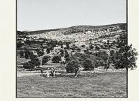 Hebron