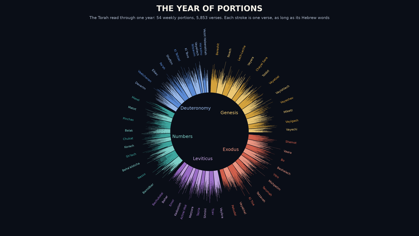 A ring of five coloured arcs, one per book of the Torah, each cut into weekly portions, with 54 portion names around the edge.